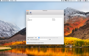 BrowserOpener screenshot 1