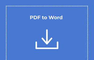 PDF2Word.io screenshot 1