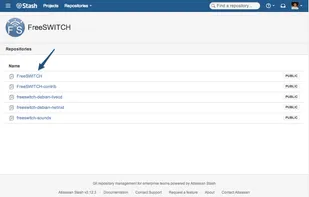 FreeSWITCH screenshot 1