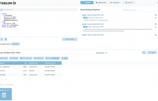 Example of the UI: SQL Console