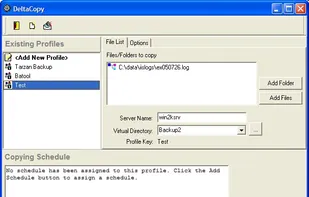 DeltaCopy screenshot 3