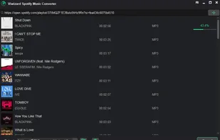 ViWizard Music Converter screenshot 2