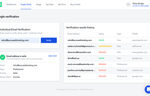 Single email verification