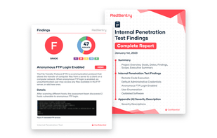 Red Sentry screenshot 1