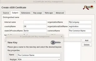 xca - X Certificate and Key management screenshot 3