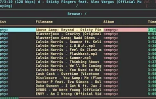 ncmpcpp screenshot 2