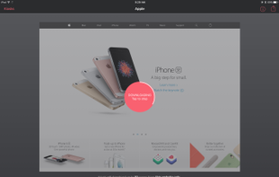 Offline Kiosk screenshot 1