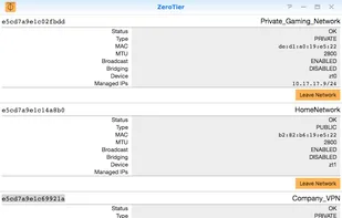ZeroTier screenshot 1