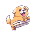 ComplyDog icon