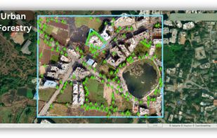 Sustainable Urban Forestry: Monitor and manage urban forests effectively with Aakashe’s high-resolution images, supporting biodiversity and green spaces.
Resource Optimization: Optimize resources and efforts in maintaining urban forestry with precise data on tree coverage and health.
