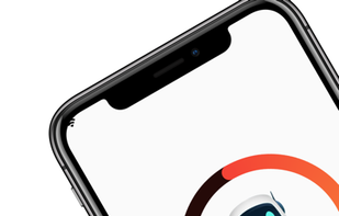 Fully Fluent screenshot 1