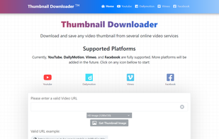 ThumbnailDownloader.net screenshot 1