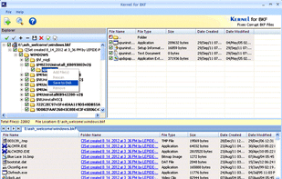 Kernel for BKF Repair screenshot 3