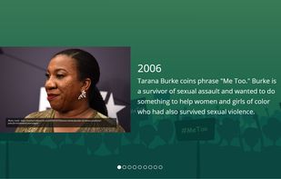 Raptivity screenshot 3