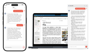 Chat with your documents, find out key points.