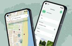 Mergin Maps screenshot 1