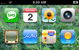 Winterboard screenshot 1