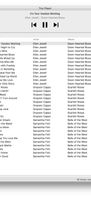 Tiny Player for Mac screenshot 2