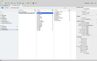 Schema Editor - Column View