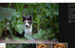 ExploreCams screenshot 1