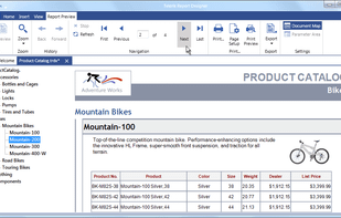 Telerik Reporting Report Preview