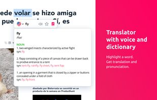Lingvanex Translator screenshot 2