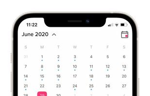 Calendar showing employees requests