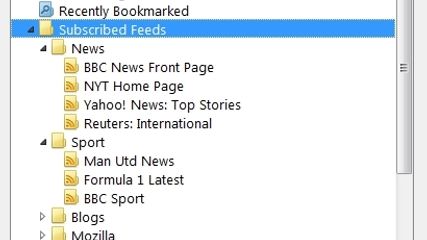 Brief stores your subribed feeds as Live Bookmarks. You can arrange them in folders.
