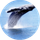 Breath icon