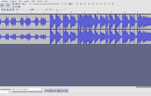 Wavacity screenshot 1
