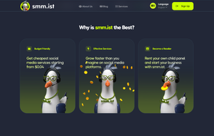 smm.ist screenshot 1