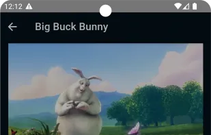 StreamShare screenshot 1