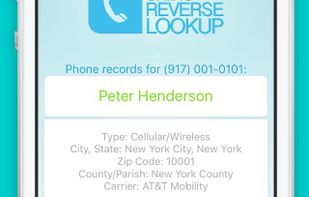 You get results for phone numbers owned by the individuals and businesses.