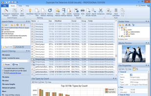 Duplicate File Detective screenshot 1