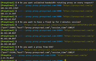 BackConnect Proxy screenshot 1