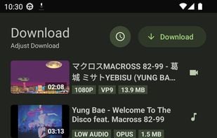 YTDLnis screenshot 3