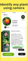 Plant Identification screenshot 2