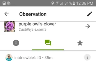 iNaturalist screenshot 3