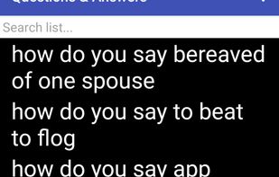 Audio Lesson Generator screenshot 2