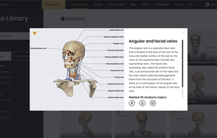 3D model viewer and articles