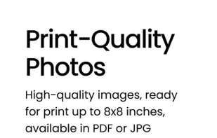 Eternal Memory screenshot 3