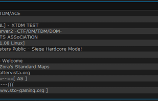 333networks MasterServer screenshot 2