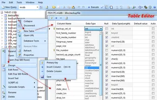 Database .NET screenshot 2