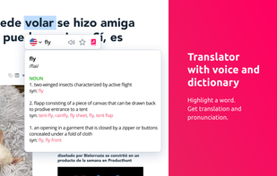 Lingvanex Translator screenshot 2