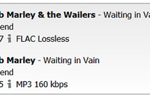 PerfectTUNES screenshot 3