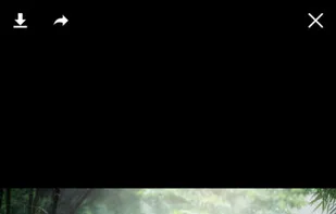 Pixabay screenshot 2