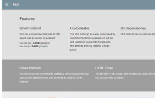 MUI screenshot 2
