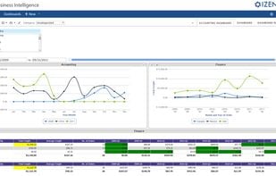 Izenda screenshot 1