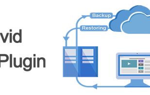 WPvivid Backup screenshot 1