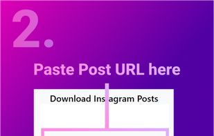 Druful - Instagram Downloader screenshot 1